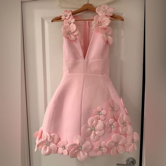 NWOT BRONX AND BANCO Estelle Blush Mini Dress ,Elegant Pink Floral - Picture 5 of 15